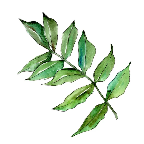 İzole bir suluboya tarzında kül bırakır.