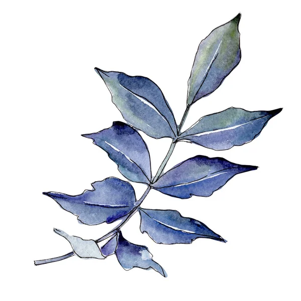 İzole bir suluboya tarzında kül bırakır.