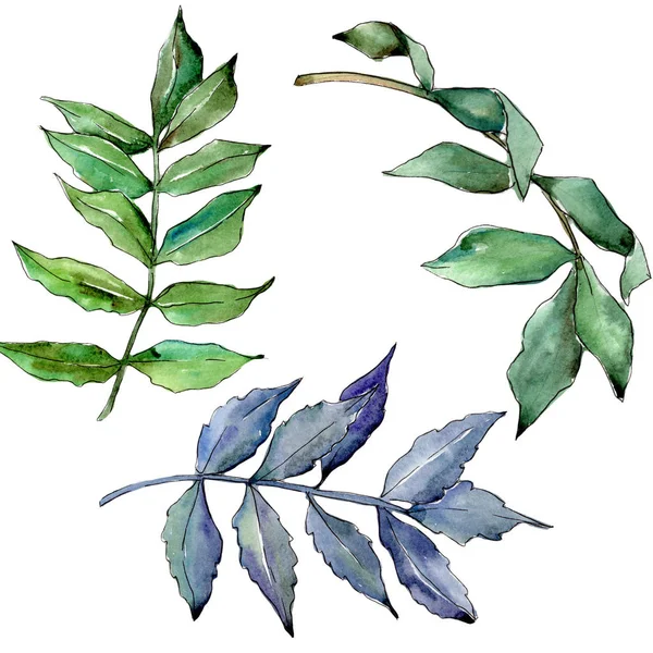 İzole bir suluboya tarzında kül bırakır.