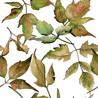 Akçaağaç yaprağı deseni suluboya tarzında.