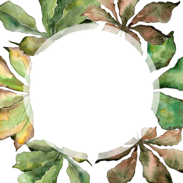 Chestnut leaves frame in a watercolor style.