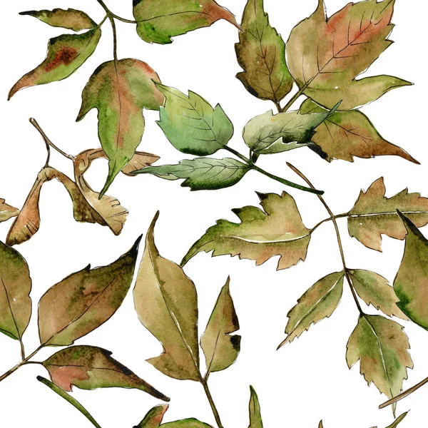 Akçaağaç yaprağı deseni suluboya tarzında.