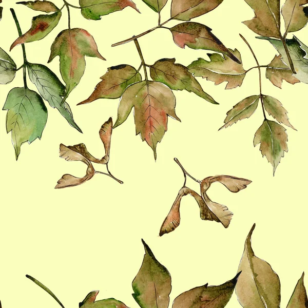 Кленовий візерунок листя в акварельному стилі . — стокове фото