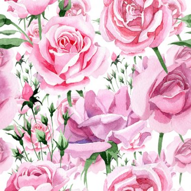 Kır çiçeği pembe çay rosa çiçek deseni suluboya tarzında.