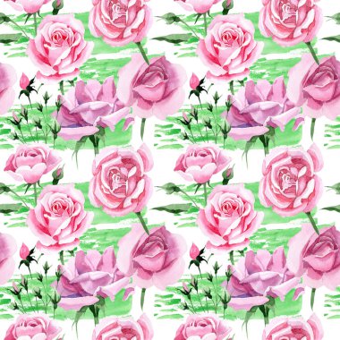 Kır çiçeği pembe çay rosa çiçek deseni suluboya tarzında.