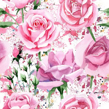 Kır çiçeği pembe çay rosa çiçek deseni suluboya tarzında.