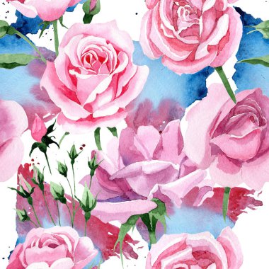 Kır çiçeği pembe çay rosa çiçek deseni suluboya tarzında.