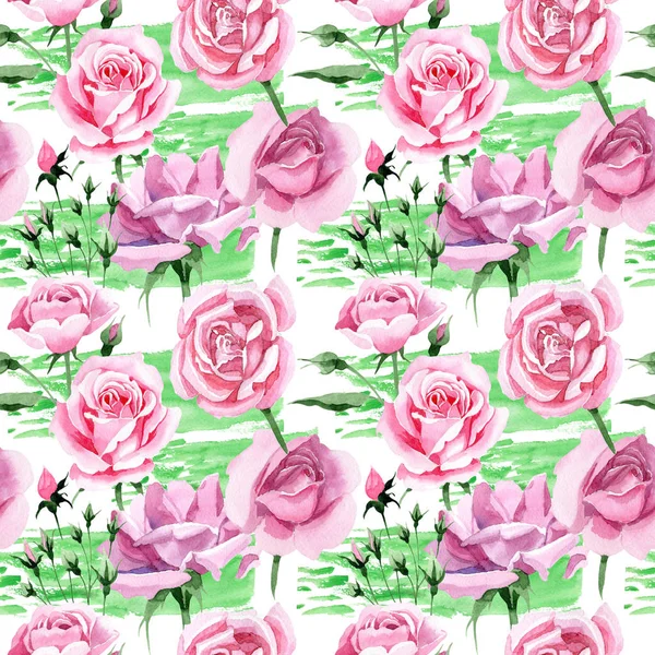 Wildflower vaaleanpunainen tee rosa kukka kuvio akvarelli tyyli . — kuvapankkivalokuva
