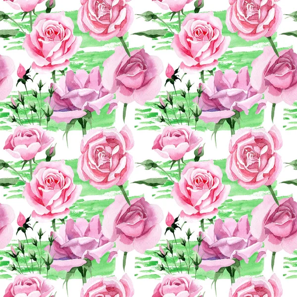 Wildflower pink tea rosa flower pattern in a watercolor style. — Stock Photo, Image