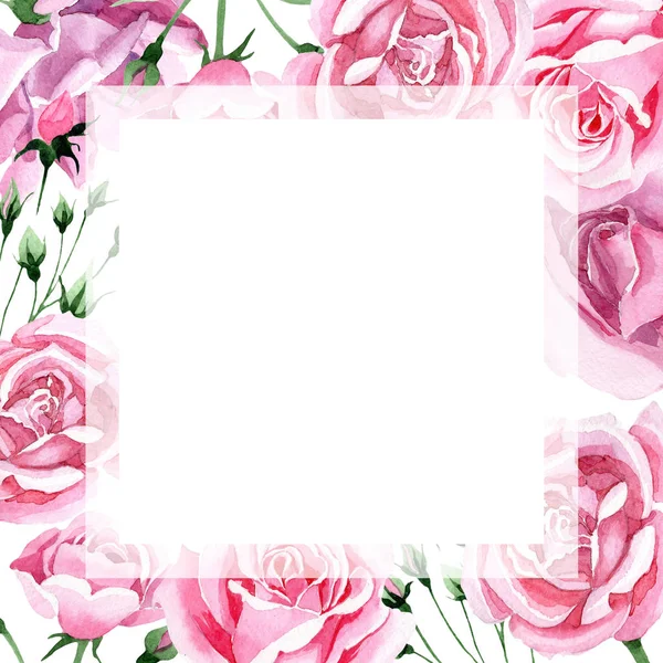 Wildflower różowy herbaty rosa kwiat rama w stylu przypominającym akwarele. — Zdjęcie stockowe