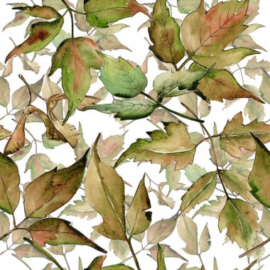 Akçaağaç yaprağı deseni suluboya tarzında.