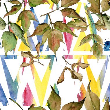 Akçaağaç yaprağı deseni suluboya tarzında.