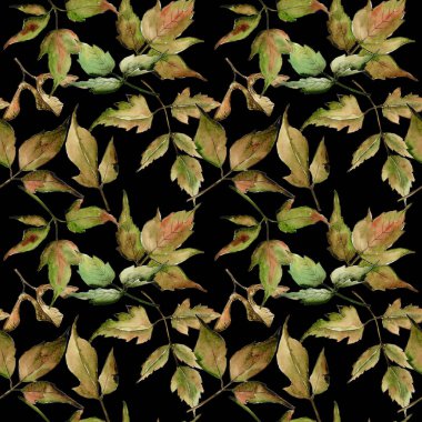 Akçaağaç yaprağı deseni suluboya tarzında.