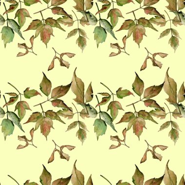 Akçaağaç yaprağı deseni suluboya tarzında.