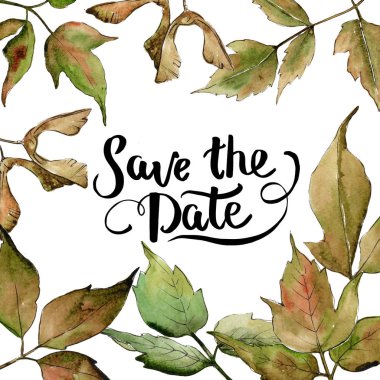 Akçaağaç yaprakları çerçeve suluboya tarzında.