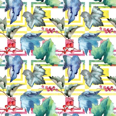 Frenk üzümü desen izole bir suluboya tarzında bırakır..