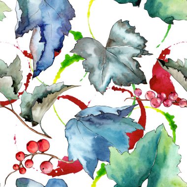 Frenk üzümü desen izole bir suluboya tarzında bırakır..