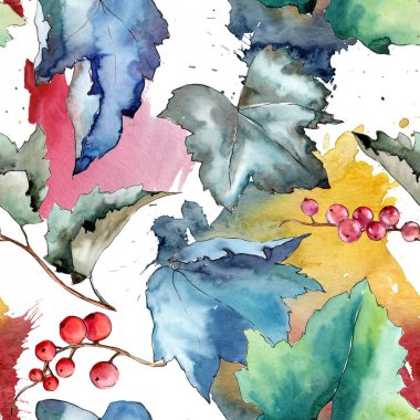 Frenk üzümü desen izole bir suluboya tarzında bırakır..