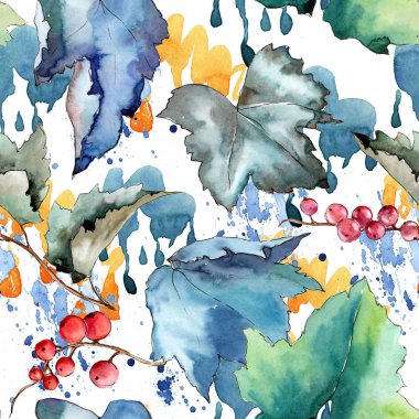 Frenk üzümü desen izole bir suluboya tarzında bırakır..