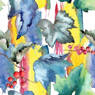 Frenk üzümü desen izole bir suluboya tarzında bırakır..