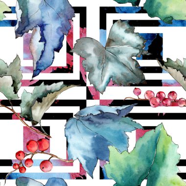 Frenk üzümü desen izole bir suluboya tarzında bırakır..