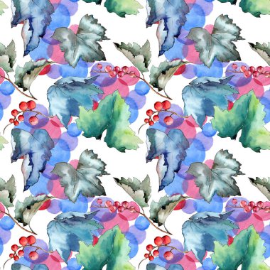 Frenk üzümü desen izole bir suluboya tarzında bırakır..