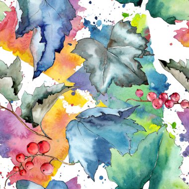 Frenk üzümü desen izole bir suluboya tarzında bırakır..