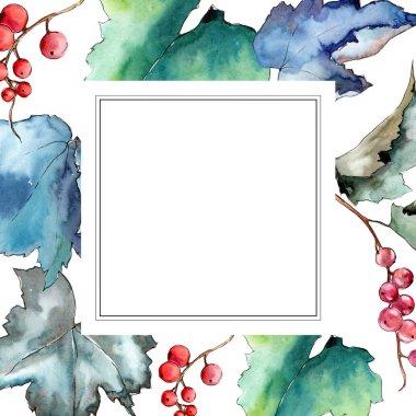 Frenk üzümü çerçeve bir suluboya tarzında bırakır..