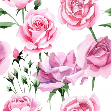 Kır çiçeği pembe çay rosa çiçek deseni suluboya tarzında.