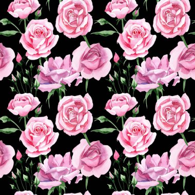 Kır çiçeği pembe çay rosa çiçek deseni suluboya tarzında.