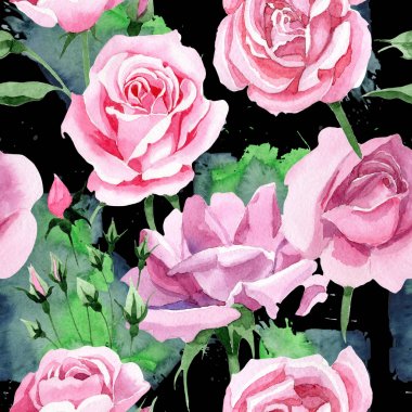 Kır çiçeği pembe çay rosa çiçek deseni suluboya tarzında.