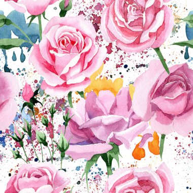 Kır çiçeği pembe çay rosa çiçek deseni suluboya tarzında.