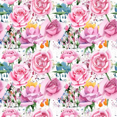 Kır çiçeği pembe çay rosa çiçek deseni suluboya tarzında.