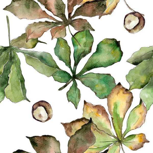 Μοτίβο φύλλα καστανιάς σε στυλ υδροχρώματος. — Φωτογραφία Αρχείου