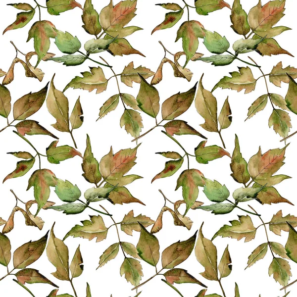 Maple leaves pattern in a watercolor style. — Stock Photo, Image