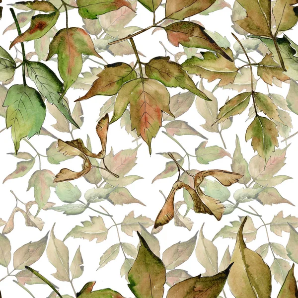Patrón de hojas de arce en un estilo de acuarela . —  Fotos de Stock