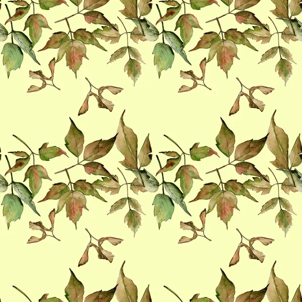 Esdoorn bladeren patroon in een aquarel stijl. — Stockfoto