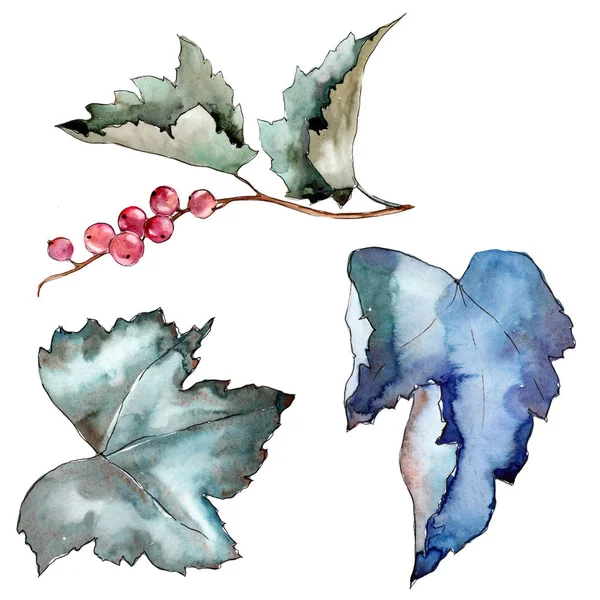 Bessen bladeren in een aquarel stijl geïsoleerd. — Stockfoto