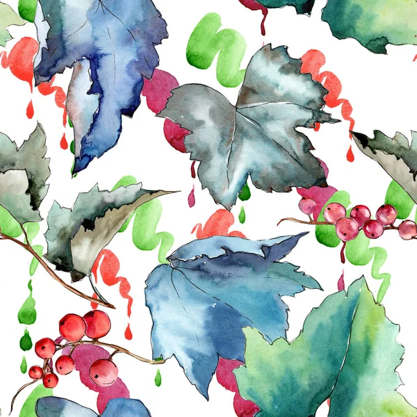 수채화 스타일 절연 건포도 나뭇잎 패턴. — 스톡 사진