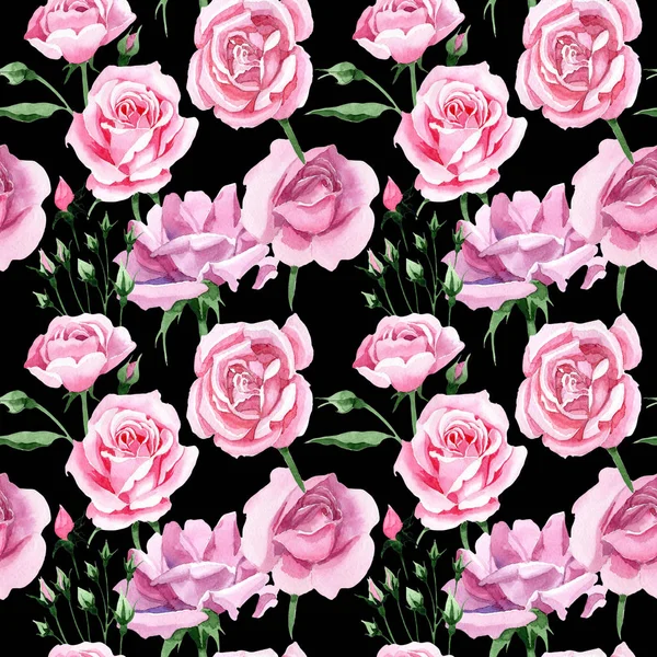 Wildflower růžový čaj rosa květinový vzor ve stylu akvarelu. — Stock fotografie