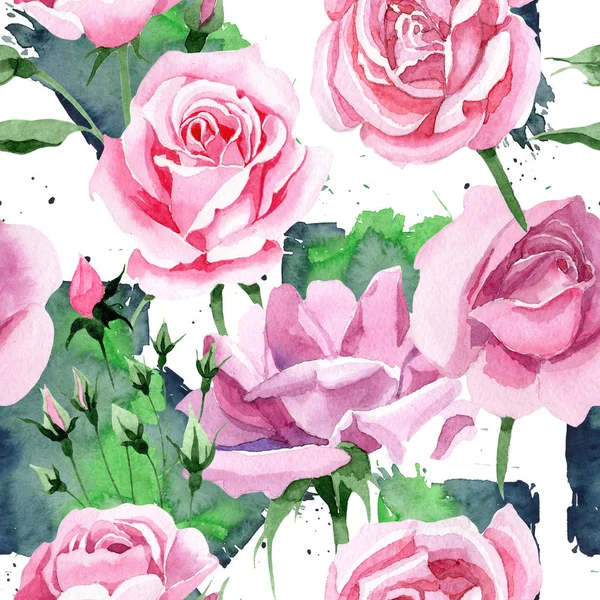 Дика квітка рожевого чаю троянди квітковий візерунок в акварельному стилі . — стокове фото