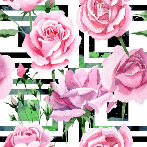 Wildflower rosa tè rosa modello di fiore in stile acquerello . — Foto Stock