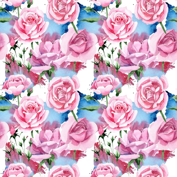 Wildflower pink tea rosa flower pattern in a watercolor style. — Stock Photo, Image