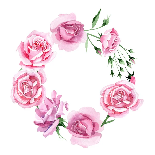 Τσάι wildflower ροζ λουλούδι στεφάνι rosa σε στυλ υδροχρώματος. — Φωτογραφία Αρχείου