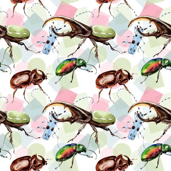 Exotické brouky divoké hmyzu vzor ve stylu akvarelu. — Stock fotografie