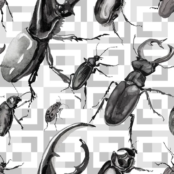Besouros exóticos padrão de inseto selvagem em um estilo aquarela . — Fotografia de Stock
