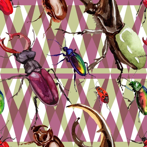 Exotic beetles wild insect pattern in a watercolor style. — Stock Photo, Image