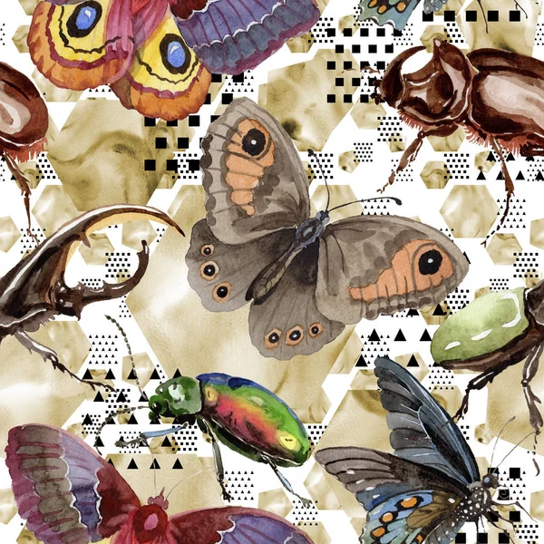 Escarabajos exóticos patrón de insectos silvestres en un estilo de acuarela . —  Fotos de Stock