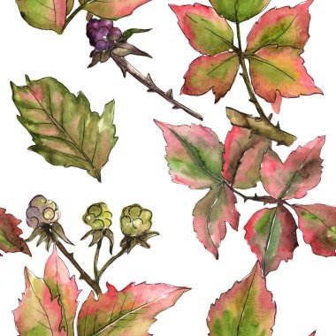 Böğürtlen yaprağı deseni suluboya tarzında.