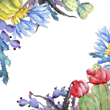 Kır çiçeği kaktüs çiçek çerçeve suluboya tarzında.